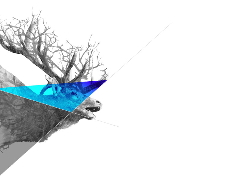 cerf